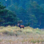 P9290035