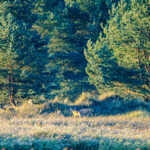 P9290430