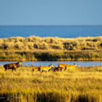 P9290538
