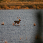 P9301549
